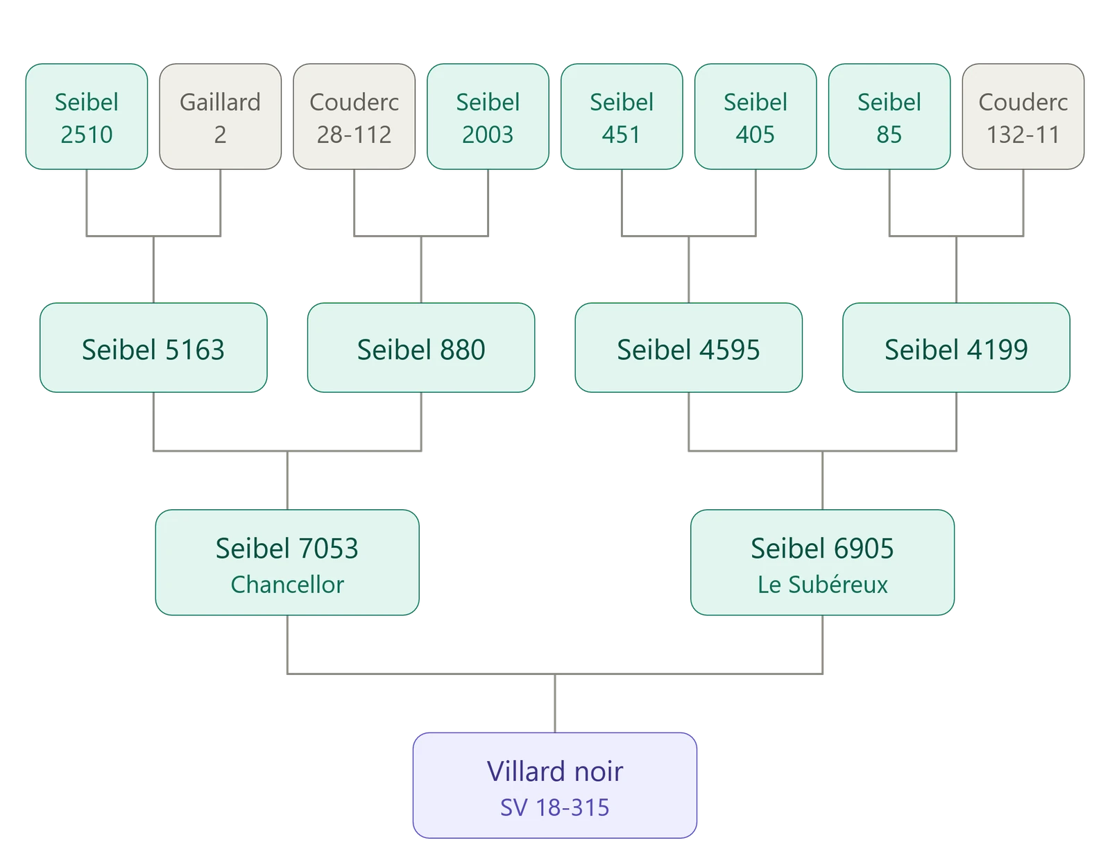 Arbre généalogique de cépages résistants : Seibel, Gaillard, Couderc, Chancellor, Le Subéreux et Villard noir