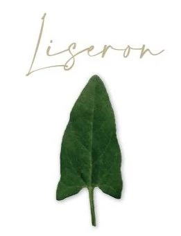Étiquette de la cuvée Liseron 2025 des Mauvaises Herbes